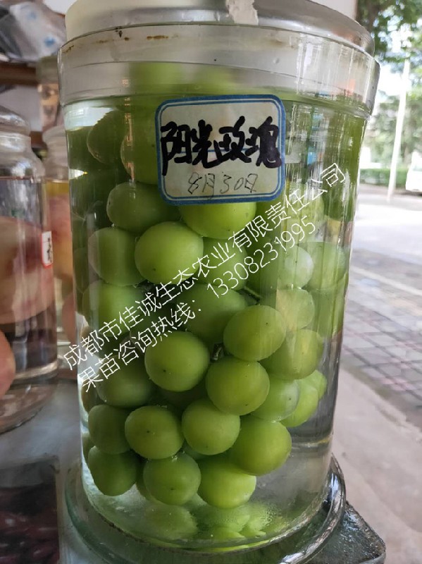 微信图片_202009021603186 拷贝.jpg