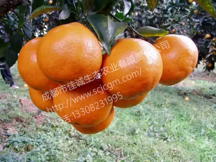 mmexport1490228202335 拷贝.jpg