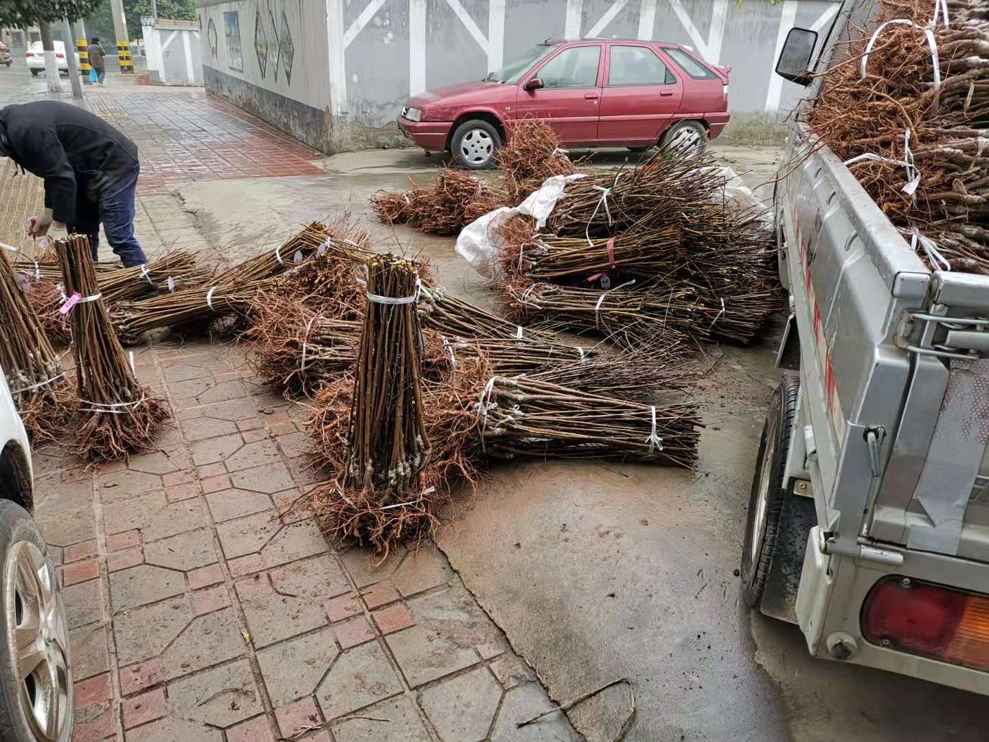 微信图片_20190224171050.jpg
