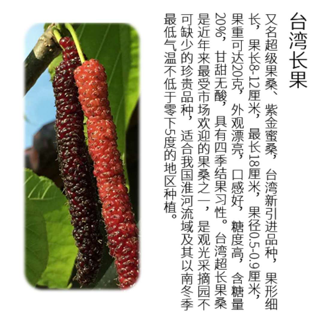 微信图片_20190701162056.jpg